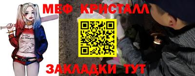 прущие грибы Кингисепп