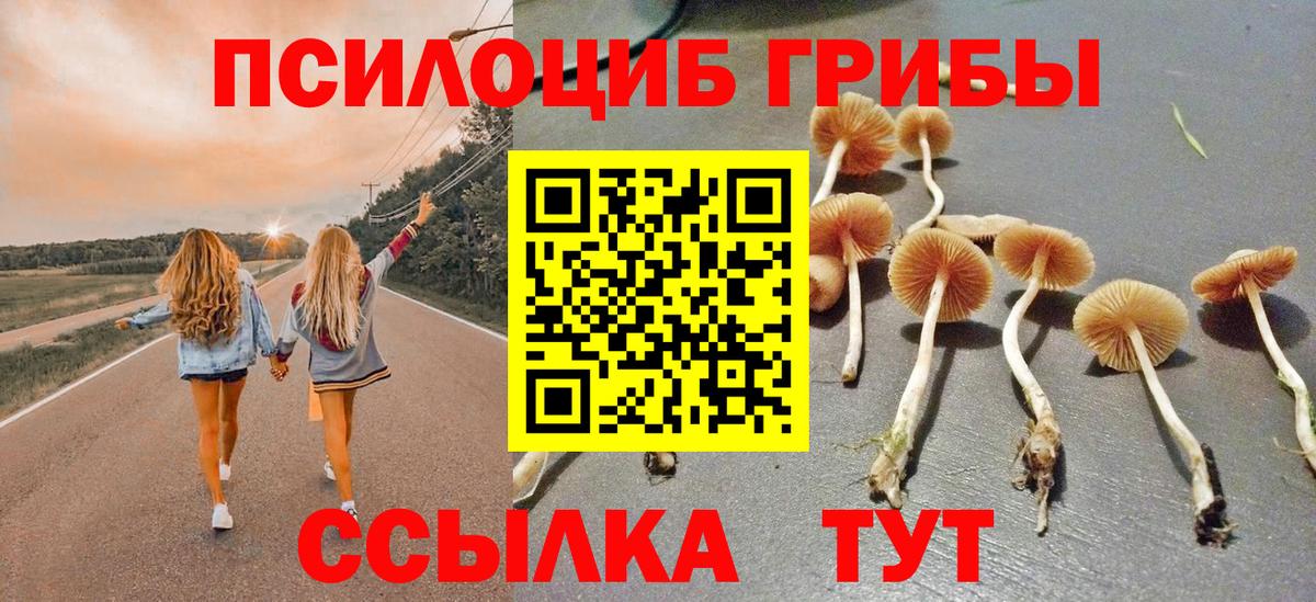 Тобольск  Псилоцибиновые грибы ЛСД  Галлюциногенные грибы Cubensis  Вход с VPN 
